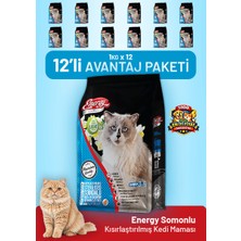 Cat food energy Somonlu Kısırlaştırılmış Kedi Maması 1 kg - 12 Adet