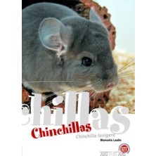 Delixa Chinchillas: Chinchilla Lanigera ( Für : Kleinsäuger): 12