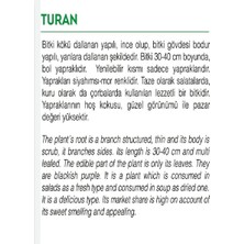 Delixa Tohumu Yerli Reyhan Turan 1000 Adet Tohum