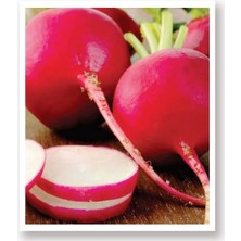 Delixa Tohumu Yöresel Antep Turp 500 Adet Tohum