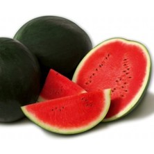 Delixa Doğal Kara Karpuz Washıngton 50 Adet Tohum