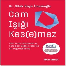 K-Yonlineticaretdy Cam Işığı Kesemez