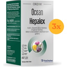 Orzax Ocean Hepalex 60 Kapsül - 3 Adet (180 Kapsül) - Dezenfektan Hediyeli (%72 Alkol)