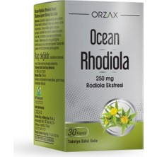 Orzax Ocean Rhodiola Kapsül 250MG 30 Kapsül - Dezenfektan Hediyeli (%72 Alkol)