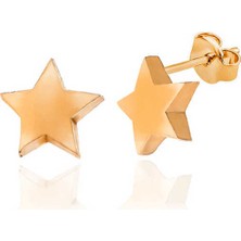 Gümüş Rose Yıldız Çivili Kadın Küpe