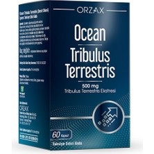 Orzax Ocean Tribulus Terrestris 60 Kapsül - Dezenfektan Hediyeli (%72 Alkol)