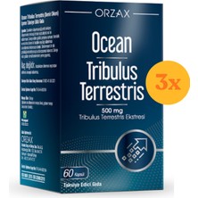 Orzax Ocean Tribulus Terrestris 60 Kapsül - 3 Adet (180 Kapsül)