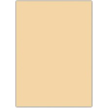 Ticon Eva 50X70 Ten Rengi Rulo Şeklinde - 4 Adet