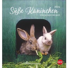 Delixa Süße Kaninchen Postkartenkalender 2024. Tierfotografin Monika Wegler Setzt Einem Kleinen Kalender Ni