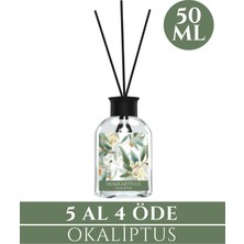 Okaliptus  Oda Kokusu Bambu Esansiyel Uçucu Yağ 50 ml