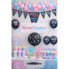 Sihirbaz Shop Cinsiye Parti Seti, Cinsiyet Belirleme Parti Seti, 65 Parça