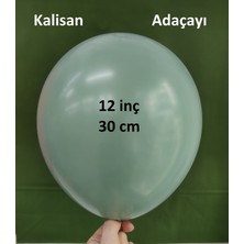 İrem Parti Dükkanı Retro Adaçayı Latex Balon 10 Adet 12 Inç 30 cm
