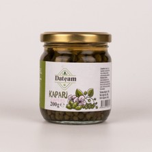 Datçam Kapari