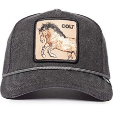 Goorin Bros - Cold 101-1731 (AT)