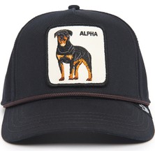 Goorin Bros - Alpha Dog 100 101-1133 (Alfa Köpek)