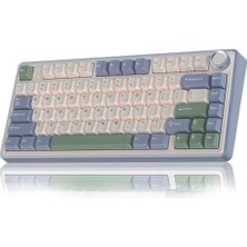 Data Store Aula F75 Mekanik Rgb Tkl Reaper Switch Kablosuz Makrolu Hot Swap Klavye Pastel