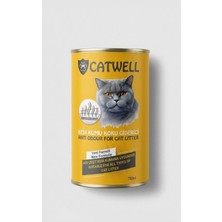 Dexpet Kedi Kumu Koku Giderici 750G Doğal Kil Bazlı Koku Nötralize Edici Tüm Kumlarla Uyumlu