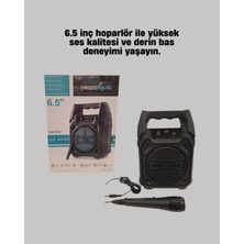 Lims Store 6.5 Inç Bluetooth Hoparlör Mikrofonlu Taşınabilir Karaoke ve Parti Sistemi