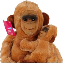 Flamex 6899 Yavrulu Maymun Salaş 65 cm