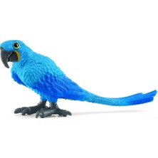 SHC4200 Sümbül Makav Papağan