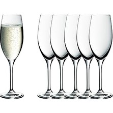 Indispensablely 6'lı Şampanya Kadehi