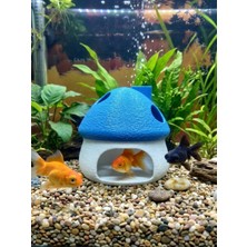 Asi 3D Tasarım 3D Tasarım Mavi Beyaz Mantar Ev - Akvaryum Içi Estetik Dekorasyon (8x8 Cm) Suya Batan Model