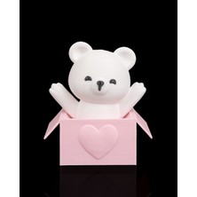 Sürpriz Kutulu Ayıcık Anahtarlık – Çanta Süsü, Sevimli Hediye Charm Aksesuar