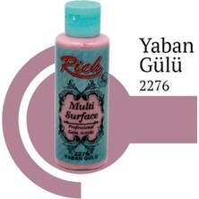 Rich Multi Surface 2276 Yaban Gülü Akrilik Boya 120 cc