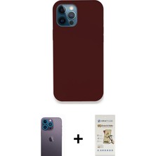 BUTİMAR'S iPhone 12 Pro Max Zirve Modern Özel Seri - Siyah Mat Seramik Nano Ekran Koruyucu + Mavi Neon Fosforlu Kamera Lens