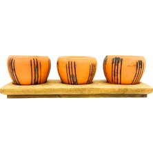 Bitki Tasarımı Ev Dekorasyon Terrakota Çizgili Saksı Üçlü Ahşap Tabanlı