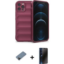 BUTİMAR'S iPhone 12 Pro Atlas Koleksiyonu - Siyah 3D Antistatik Hayalet Cam Ekran Koruyucu + Siyah Shine Kamera Lens Koruma Cam