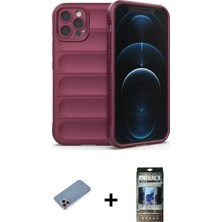 BUTİMAR'S iPhone 12 Pro Atlas Koleksiyonu - Siyah 34D Hayalet Izgaralı Cam + Pembe Shine Kamera Lens Koruma Cam