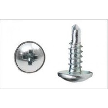 Meridyen Ypm Matkap Uçlu Akıllı Vida 3,9X19 ( 10 Adet )