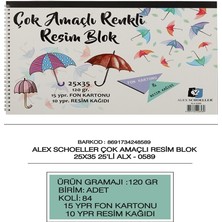 Kitabevimden Alex Schoeller Resim Kağıdı+ Fon Karton Spiralli 25 Yp 25X35 120 gr ALX-0589