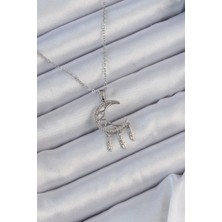 Ayışığı 316L Çelik Zincir Gümüş Renk Işlemeli Zirkon Taşlı Ay Kolye