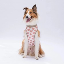 Pawstar Cute Bears T-Shirt Büyük Irk
