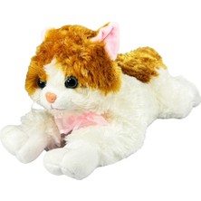 Kitabevimden Vardem Oyuncak Pelus 36CM 4 Asorti Müzikli Kedi 36 cm 60 Pcs VRD-PJH14318