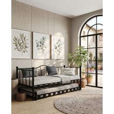 Missidea Kamelya Daybed Yavrulu Siyah Karyola 90X190 cm