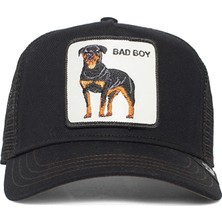 Goorin Bros - Panther Field 100 101-1450 (Panter)