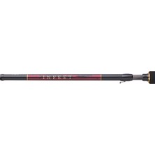 Daiwa Infeet Seabass 213CM 7-28GR 2 Pc Spin Kamışı