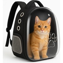 Zekton Siyah  El ve Sırt Çantası 2 Fileli Cep 9 Hava Kanallı Kedi Taşıma Çantası