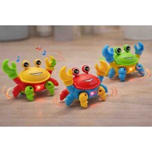 Yürüyen Yengeç Pilli Işıklı Müzikli Emeklemeye ve Yürümeye Yardımcı Oyuncak 19X15 cm 1 Adet