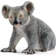 Gray Line Gry Koala Nel1