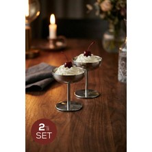 Vienev 2'li Gümüş Renk Metal Dondurmalık Seti - Şık Sunum ve Tatlı Kasesi