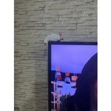 Haylaz Ördek Masa Üstü Figürü – Eğlenceli Dekoratif Raf & Tv Üstü Biblo, Ofis ve Ev Dekoru