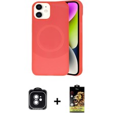 Cepte Toptan iPhone 11 Ufuk Serisi - Siyah Buffer Cam Ekran Koruyucu + Yeşil Pvd Metal Kamera Lens