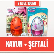 Restinal Araba ve Oda Kokusu KAVUN-ŞEFTALI/100ML