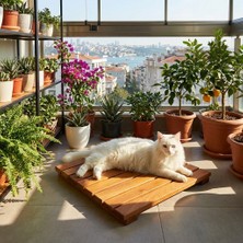 Pisiletto - Kedi Yatağı Bazası - Masif Teak - Yerden Yüksek Hijyenik Palet