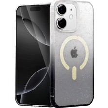 Decostyle Newface Apple iPhone 11 Pummel Shiny Magsafe Kapak - Siyah