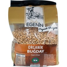 Tardaş Egenin 500 gr Organik Buğday